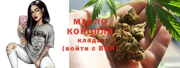 СК Алексин