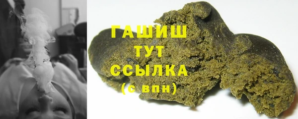 СК Алексин