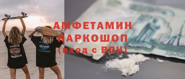 СК Алексин