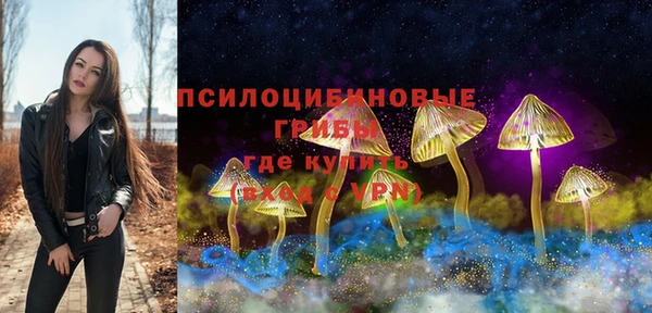 шишки Новодвинск
