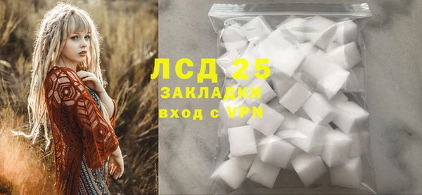 СК Алексин