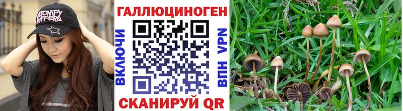 дарнет шоп  Анапа  Галлюциногенные грибы Cubensis 